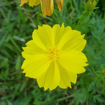 SeyhaYoun's profile picture. Fy