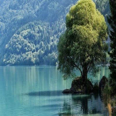 AlonsoAraizaGu1's profile picture. 