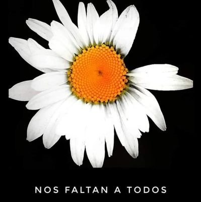 lafocamaestra's profile picture. Maestra.
YO NO LOS VOTÉ.