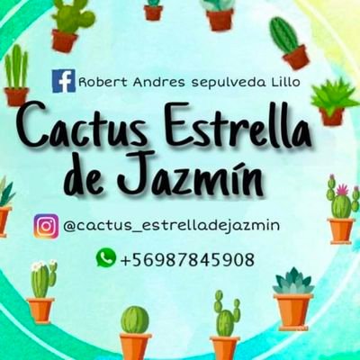 Emprendedor de plantas de colección
Cactus 🌵 venta por mayor y menor 
Whatsapp+56987845908