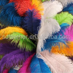 Luohe Sendy Feather Trade Co., Ltd.
whatsapp:+ 86 15839518923
Email: emma@sendyfeather.com