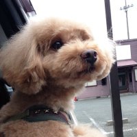 なおしゃん GLAYER 5/31東京ドーム6/8京セラドーム (@o5_hdy) 's Twitter Profile