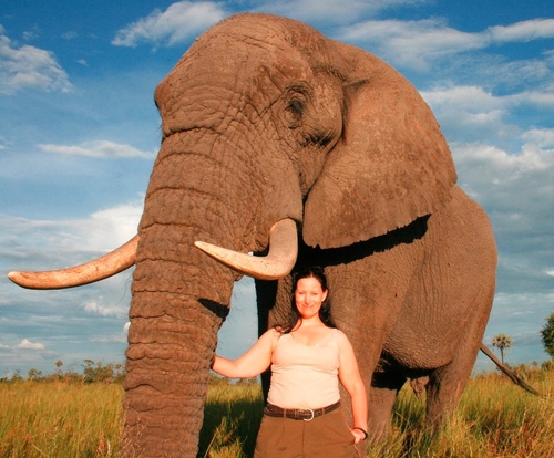 Tweets about Elephants and conservation. PhD researching Elephants and biodiversity in Linyanti Botswana using remote sensing, palaeoecology and fieldwork