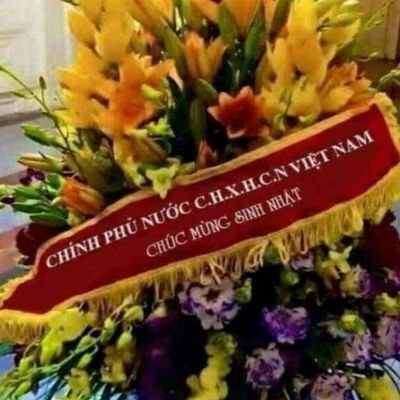 envaxi's profile picture. ỞĐợ