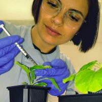 Alina A Igna, Ph.D. (@alina_igna) 's Twitter Profile