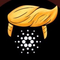 CoachCardano (@coachada1776) 's Twitter Profile