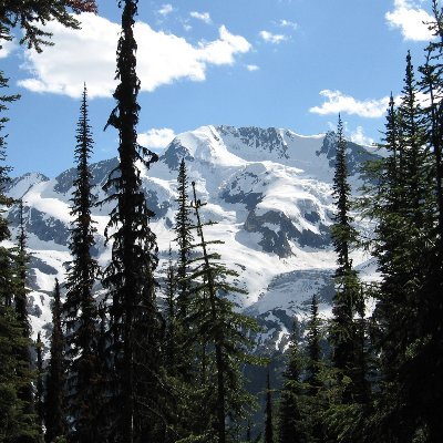 bcparf's profile picture. BCPARF is a partnership between the research community, and regional, provincial and federal park governing agencies
