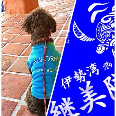 時間や金。創造性の制約をぶち壊せ。自己への挑戦は人生の変化と進化だ。①持続可能な海と地球のため🌊 #継美隊 #伊勢湾 ②保護犬や保護猫だって幸せに暮らしたい #動物はモノじゃない 🐾 ワンニャン缶バッジ製作で保護支援 #studioOHANA そして③美味いラーメンこそ正義なり🤣🍜