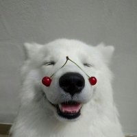 もち (@azatoken) 's Twitter Profile Photo