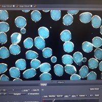 Tamer Bayhan (@tmrbyhn) Twitter profile photo