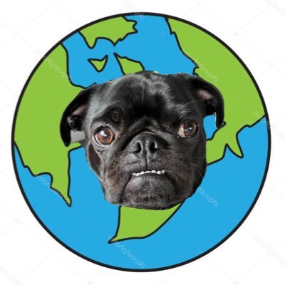 all tweets made by dunkin the pug.