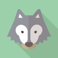 Shin-8|36歳 未経験 独学で自社開発企業のエンジニアに転職 (@shin8_en) 's Twitter Profile