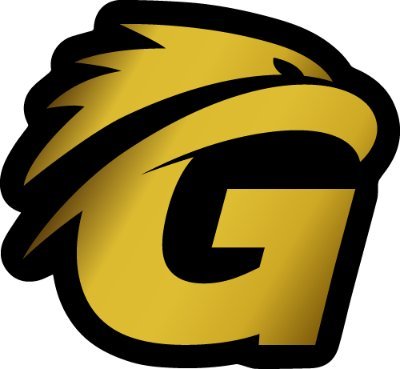 GoldenEagleLog2's profile picture. Golden Eagle Logistics Services & Trading LLC (GELST) was founded by professionals who had experience in the freight forwarding and fast-paced logistics.