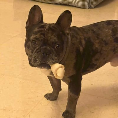 youbetterbeokay's profile picture. 