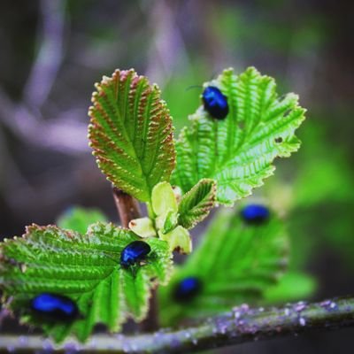 PMigawka's profile picture. Lubię grać i śpiewać, zrobiłam kiedyś kilka ładnych zdjęć. Chętnie pogadam, nawet (albo i zwłaszcza) o bzdurach. ♥️🎹📷 @pmigawka on instagram