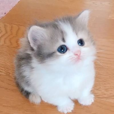 gg_fr2's profile picture. 
