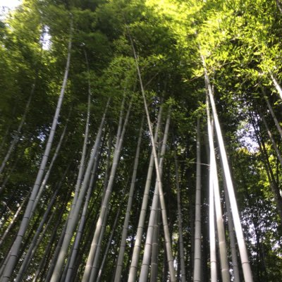 読んだ本や日常のこと等を呟きたいと思います。読書垢
いいねで無言フォローするかもしれませんが、よろしくお願いいたします。
