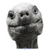 Jonathan Tortoise (@jonathantortoi1) Twitter profile photo Jonathan Tortoise (@jonathantortoi1) Twitter profile photo