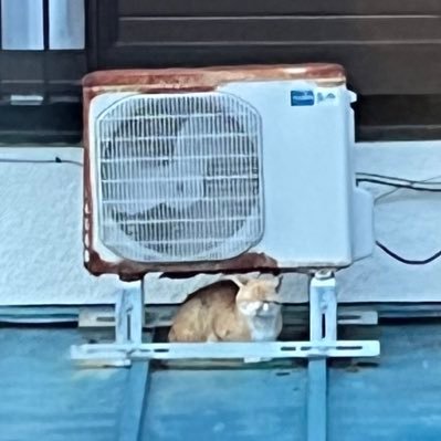 カズキさんのプロフィール画像