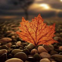 Halit_41 (@halitgenc_41) Twitter profile photo