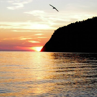 urij_dolgorukij's profile picture. Крипта инвестиции  хайпы... Биток с нуля