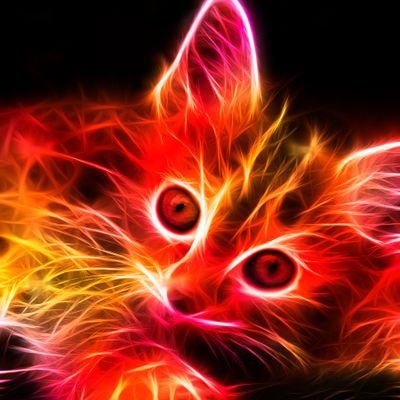 PhyreKat22's profile picture. I am not on here to gain followers but to follow the news from around the world and hobbies I do. Please don't be offended if I don't follow back.