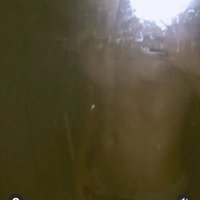 Flash uno(@flash_uno) 's Twitter Profileg