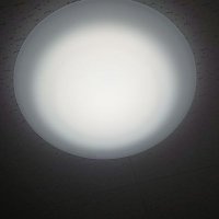 はる(hal) (@junk_hal) 's Twitter Profile