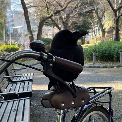 SMXX100's profile picture. Any%ing life