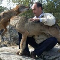 Joaquín G. Acha (@joaquingacha) 's Twitter Profile