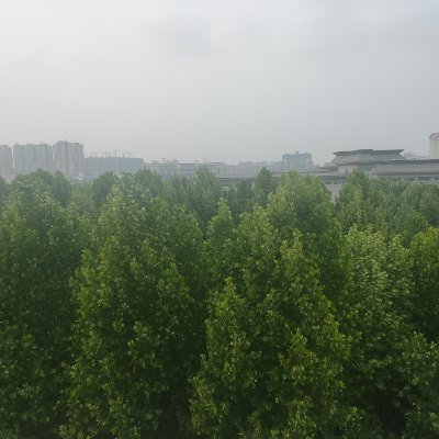 yaoduoyundong1's profile picture. 