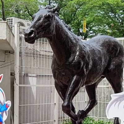 馬とウマ娘のためのアカウント
馬もウマもどちらも好き
アイコンは笠松のオグリ像
推しが増える日々
ウンス・ドーベル・トプロ・クラウン・ダンツ←new!
ウマ娘のIDは142875708です