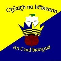 1 Brigade 🇮🇪 Defence Forces(@1Bde_Official) 's Twitter Profileg
