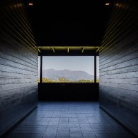 まろかれ (@marokakaka) 's Twitter Profile Photo