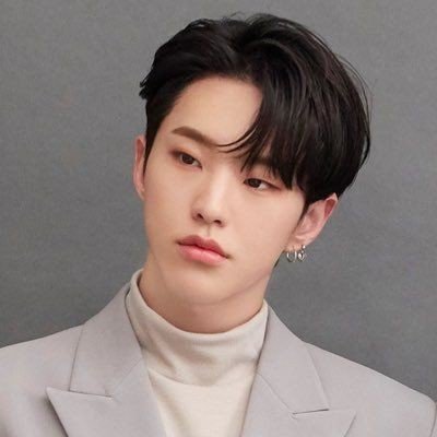 soonyoung, lee chan oppa & svt only | 21 | INTP-T