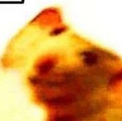 Redactedmk2's profile picture. 