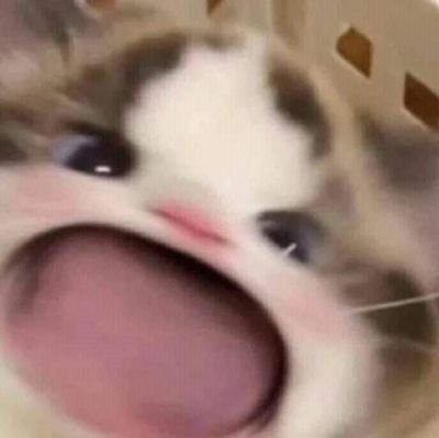 Aladdin1392's profile picture. 