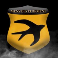 Swifts Development(@SwiftsDevelop) 's Twitter Profile Photo