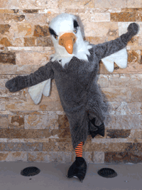 USNewMexicoFCU's profile picture. 