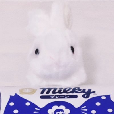 puicaさんのプロフィール画像