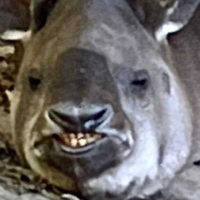ERYYYさんのプロフィール画像