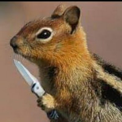 hristowb's profile picture. 
