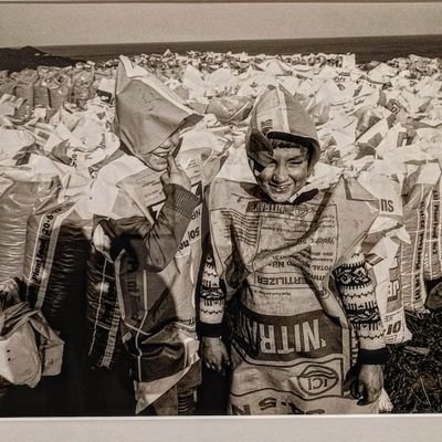 MassiLarson's profile picture. City Hunter ™️
The end justifies the means, let's get our hands dirty & be proud of it !