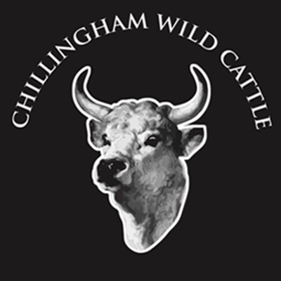 Chillingham Wild Cattle Profile