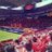 N_Grampus_Fan