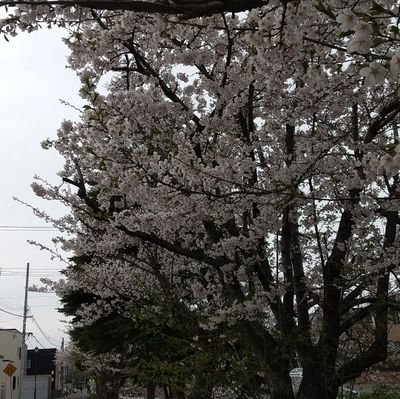 通信制🛸高校に通ってる17歳。よくわからんことばっか呟くかもだけどごめんね