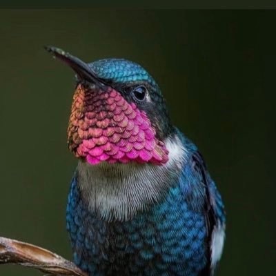 CoreyBGilmore's profile picture. Building a sustainable glamping experience in supernatural British Columbia