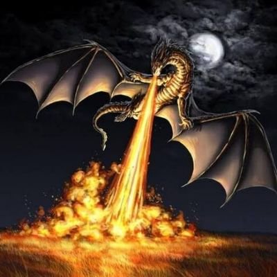 nowheretorun123's profile picture. 