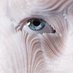 Ajvi (@hansajvi) Twitter profile photo Ajvi (@hansajvi) Twitter profile photo