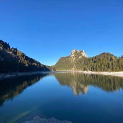 hadibarkat's profile picture. @helvetiq (founder) | publisher of games and books